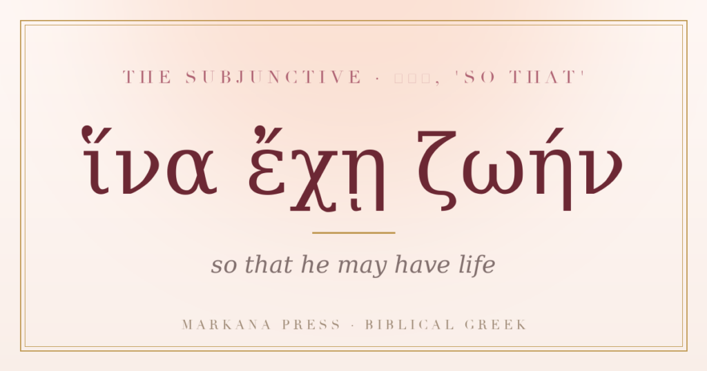 Greek subjunctive hina echei zoen, so that he may have life